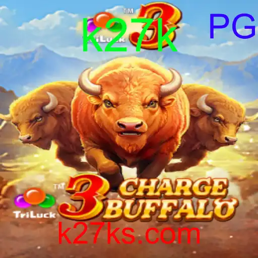 3ChargeBuffalo